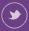 twitter-footer